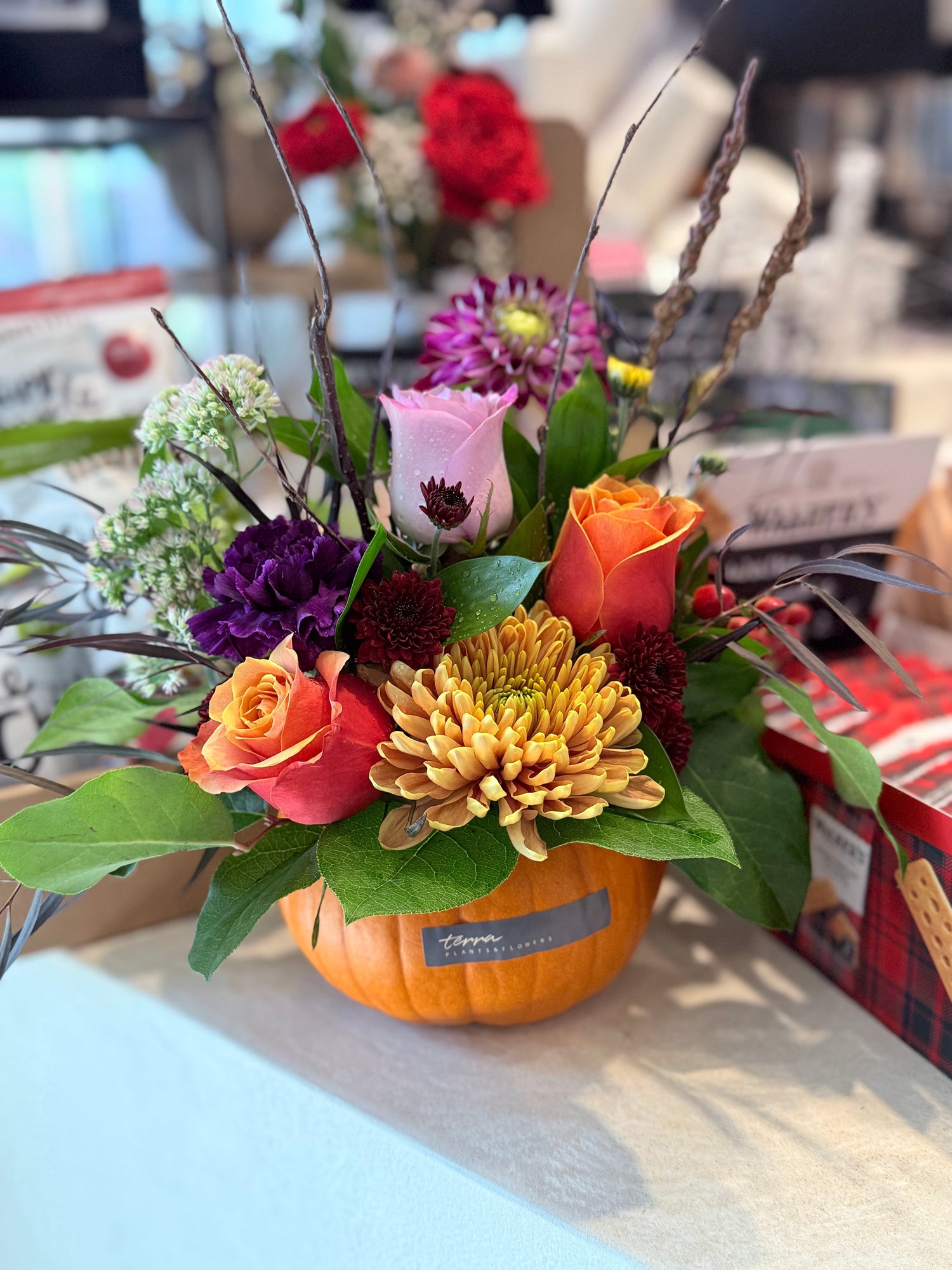 Discover Ottawa’s Fall Charm at Terra Flowers & Flavours in Barrhaven | Ottawa Flower Delivery & Cafe