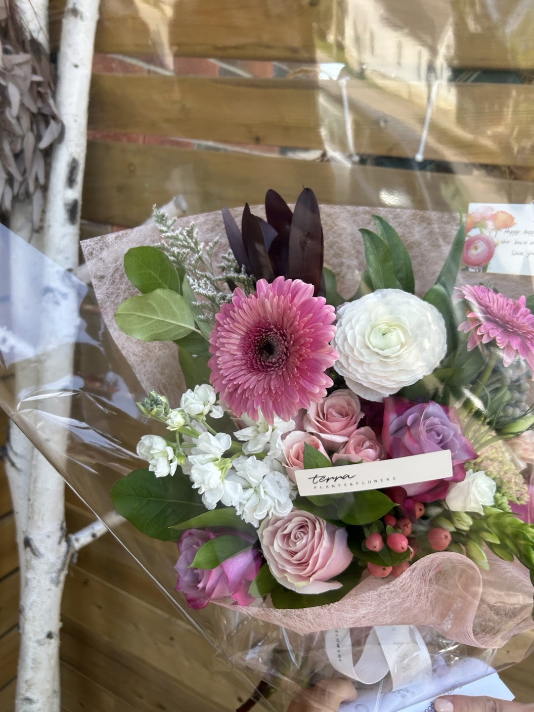 Flowers for Get Well Soon Terra Plants and Flowers