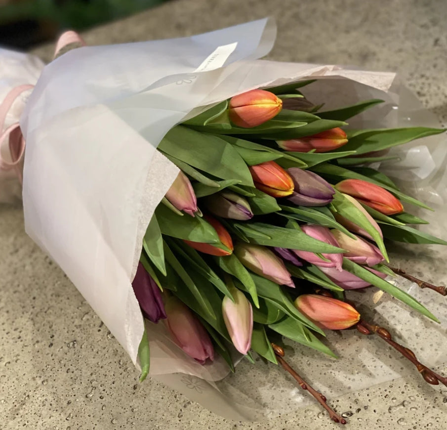 The Art of Tulip Care: What to Do After They Bloom