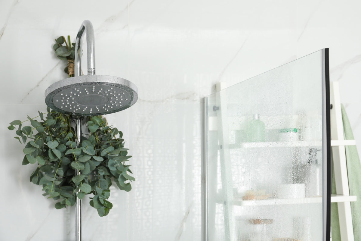 The Benefits Of Hanging Eucalyptus In Your Shower