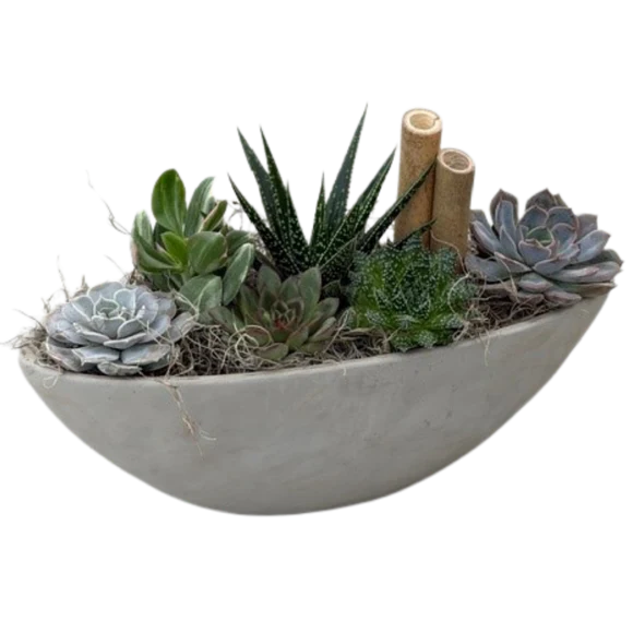 Concrete Succulent Boat