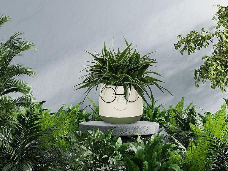 Large Face Planter with Glasses 6"D