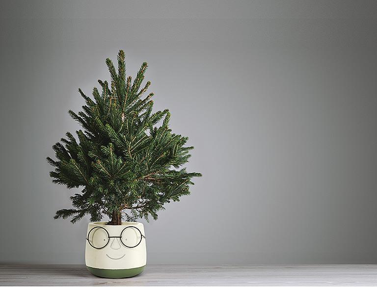 Large Face Planter with Glasses 6"D