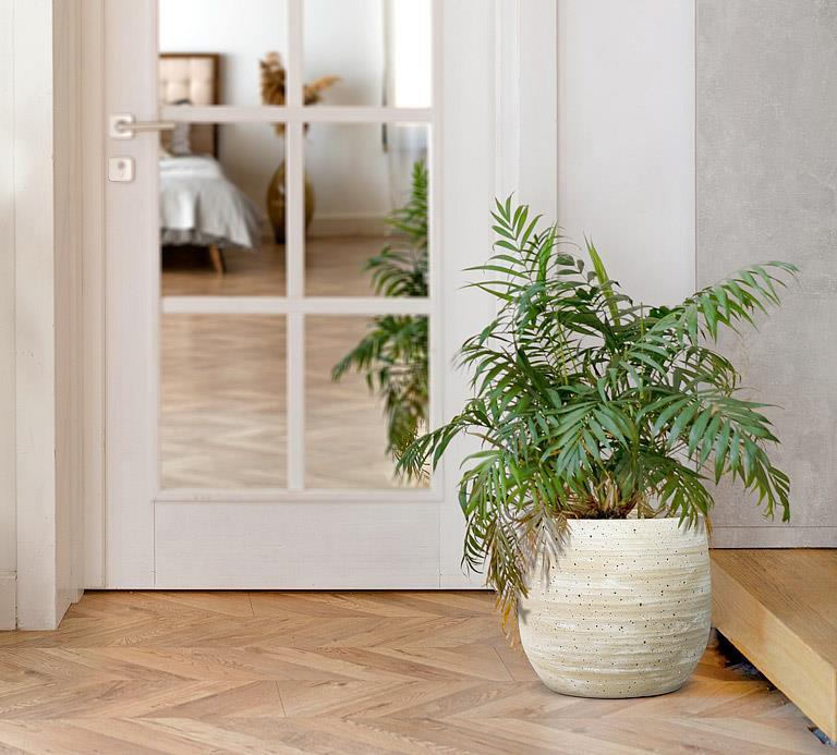 Ridge & Hole Planter