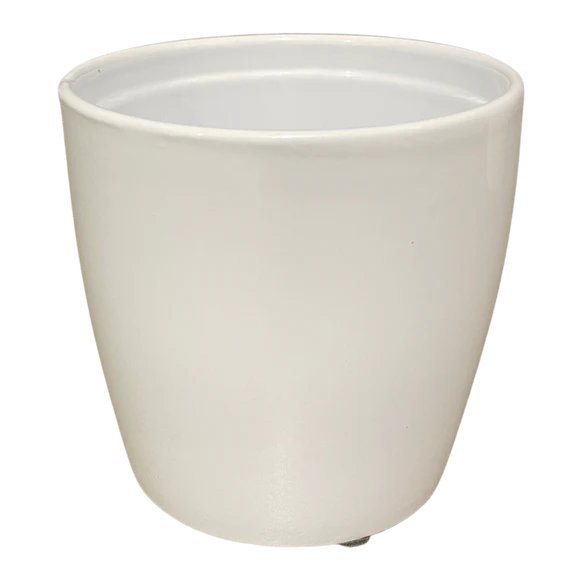 4.5" White Ceramic