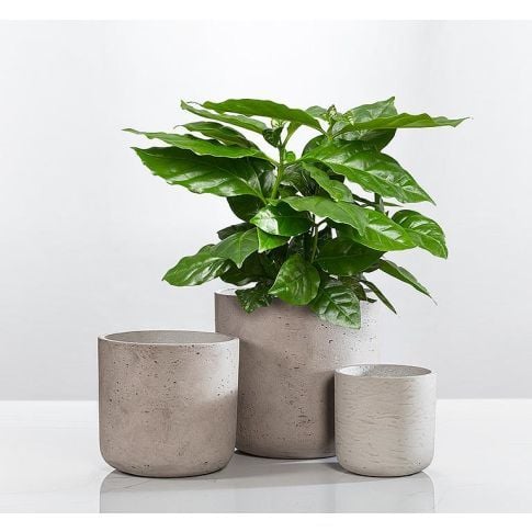 Classic Planter-Gry-10"D/7"D