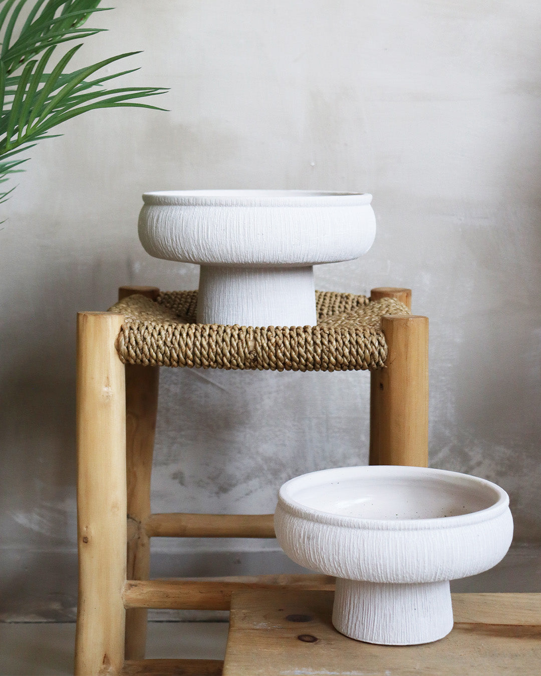 Bol en Terracotta Pot