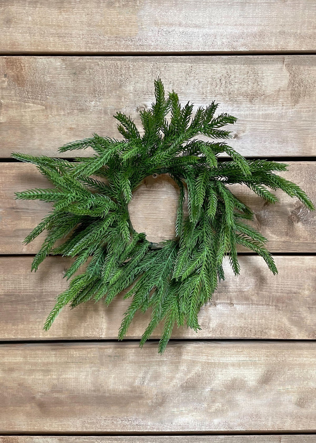 4.5" INSIDE DIM, 10" OUTSIDE DIM FRESH TOUCH NORFOLK PINE CANDLE RING