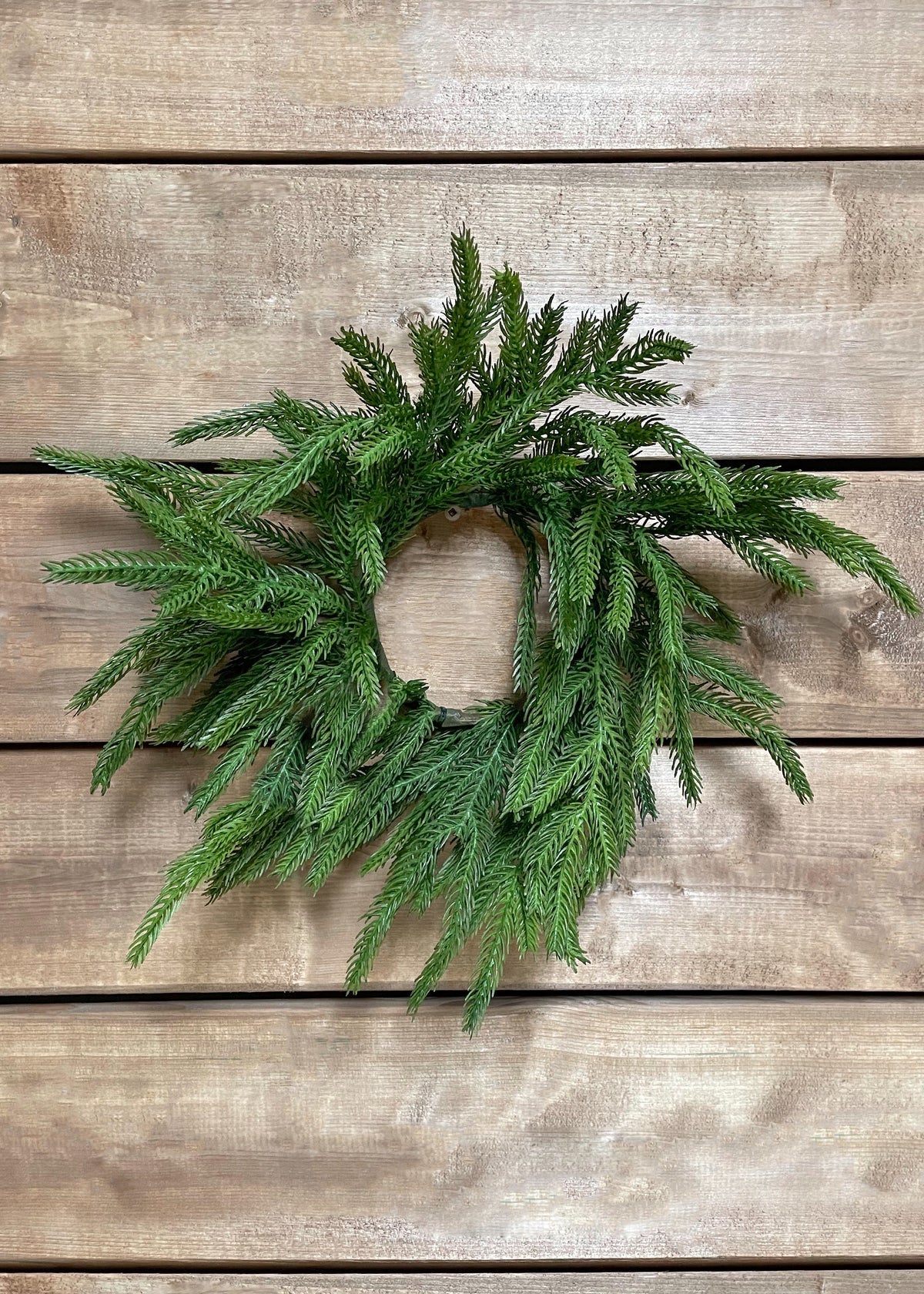 4.5" INSIDE DIM, 10" OUTSIDE DIM FRESH TOUCH NORFOLK PINE CANDLE RING
