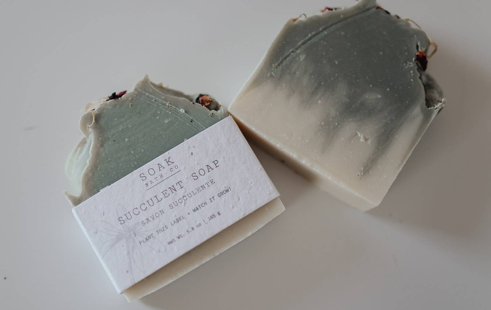 Succulent Soap Bar