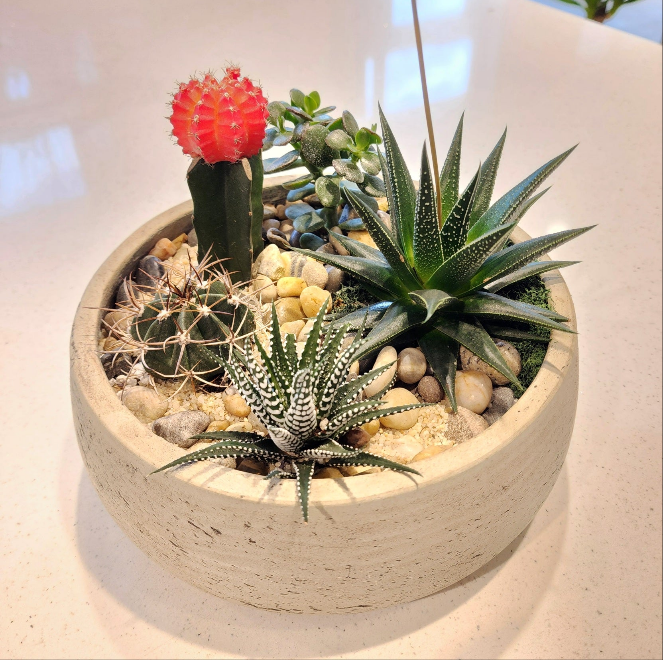 Ro-cement pots (round)