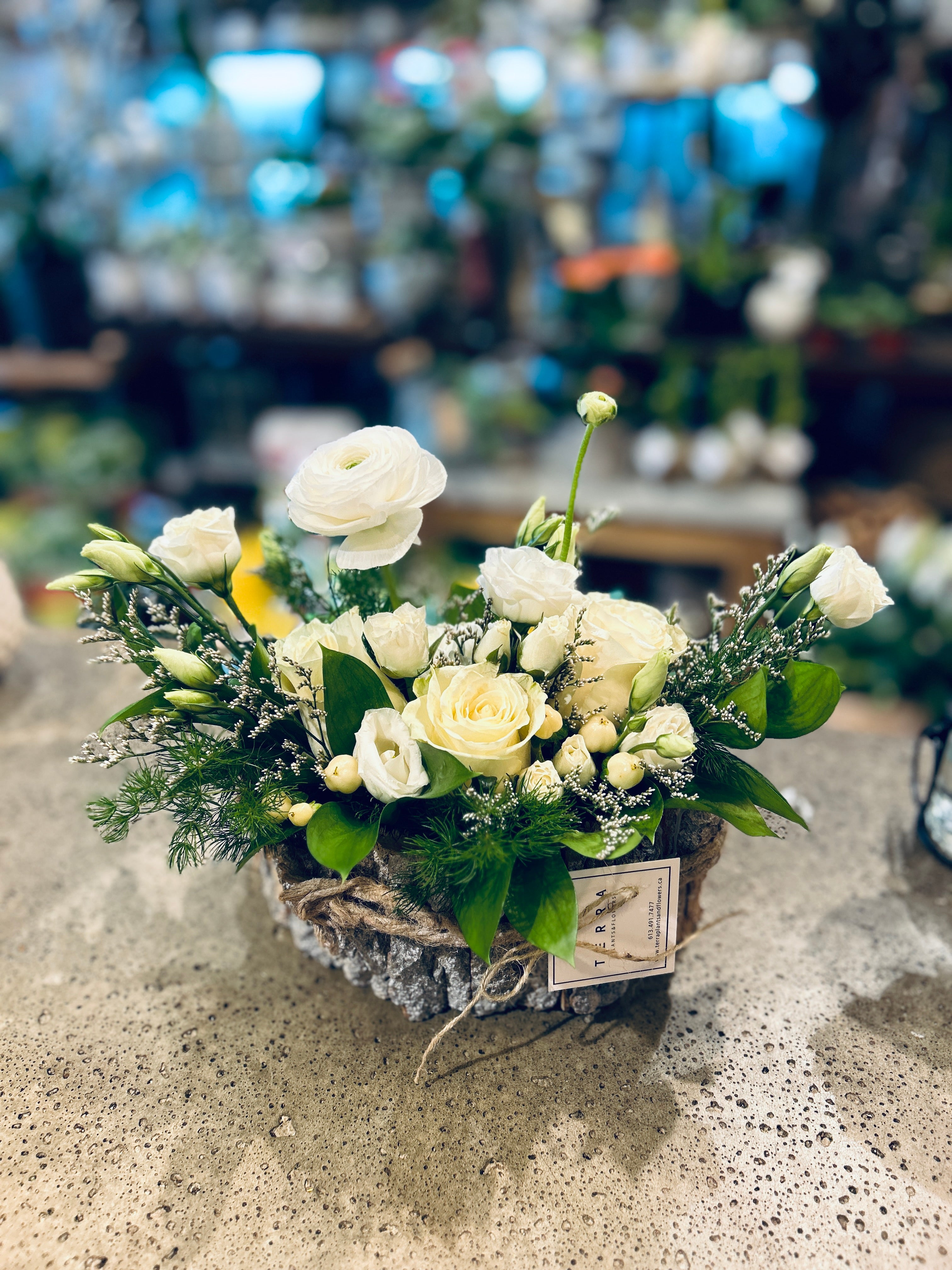 Flower Garden in birch pot