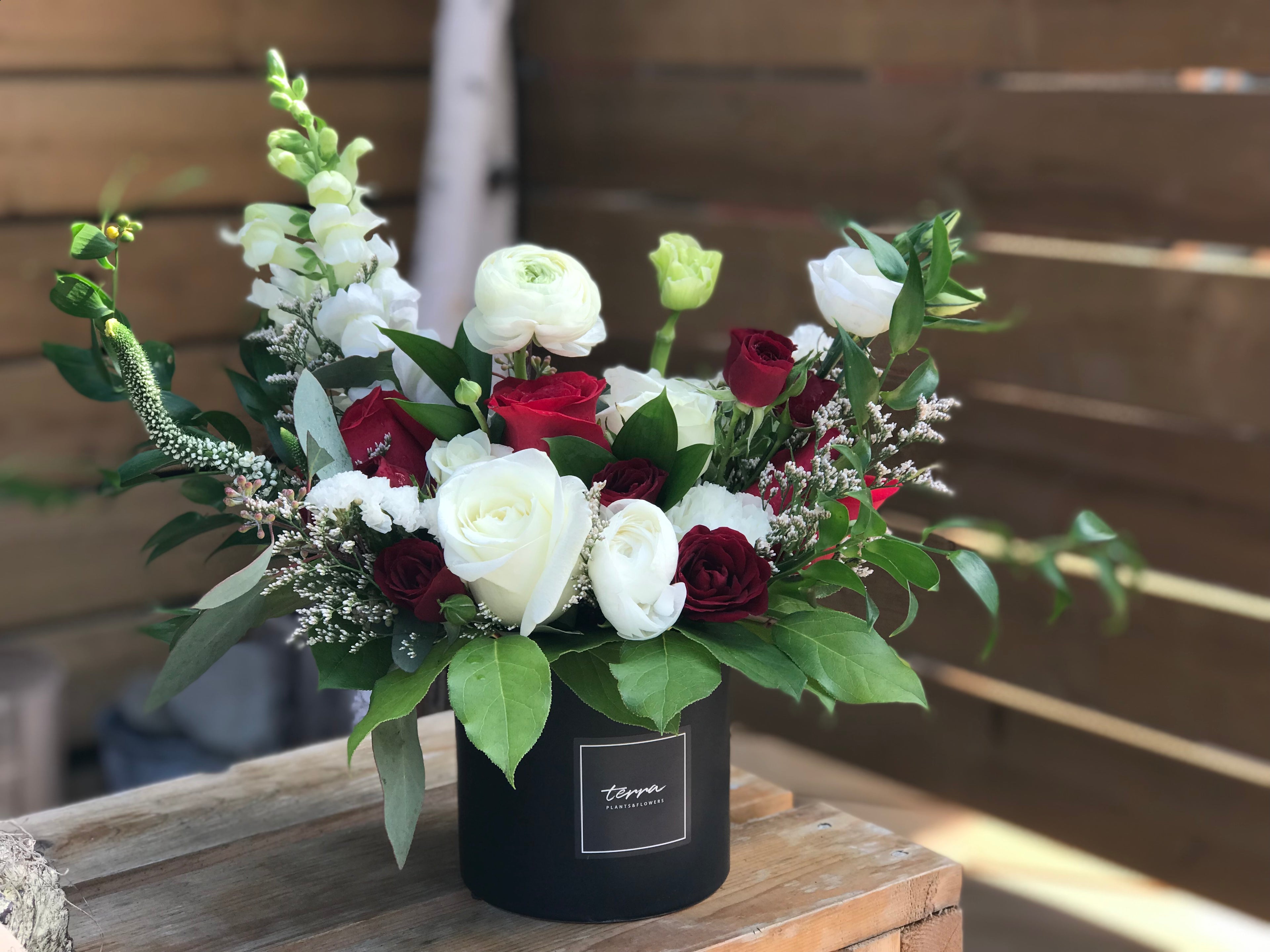 Harmony in Crimson and Ivory