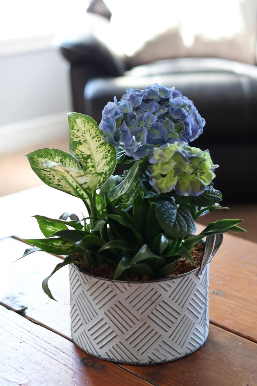 Medium Hydrangea Mixed White Crosshatch Tin