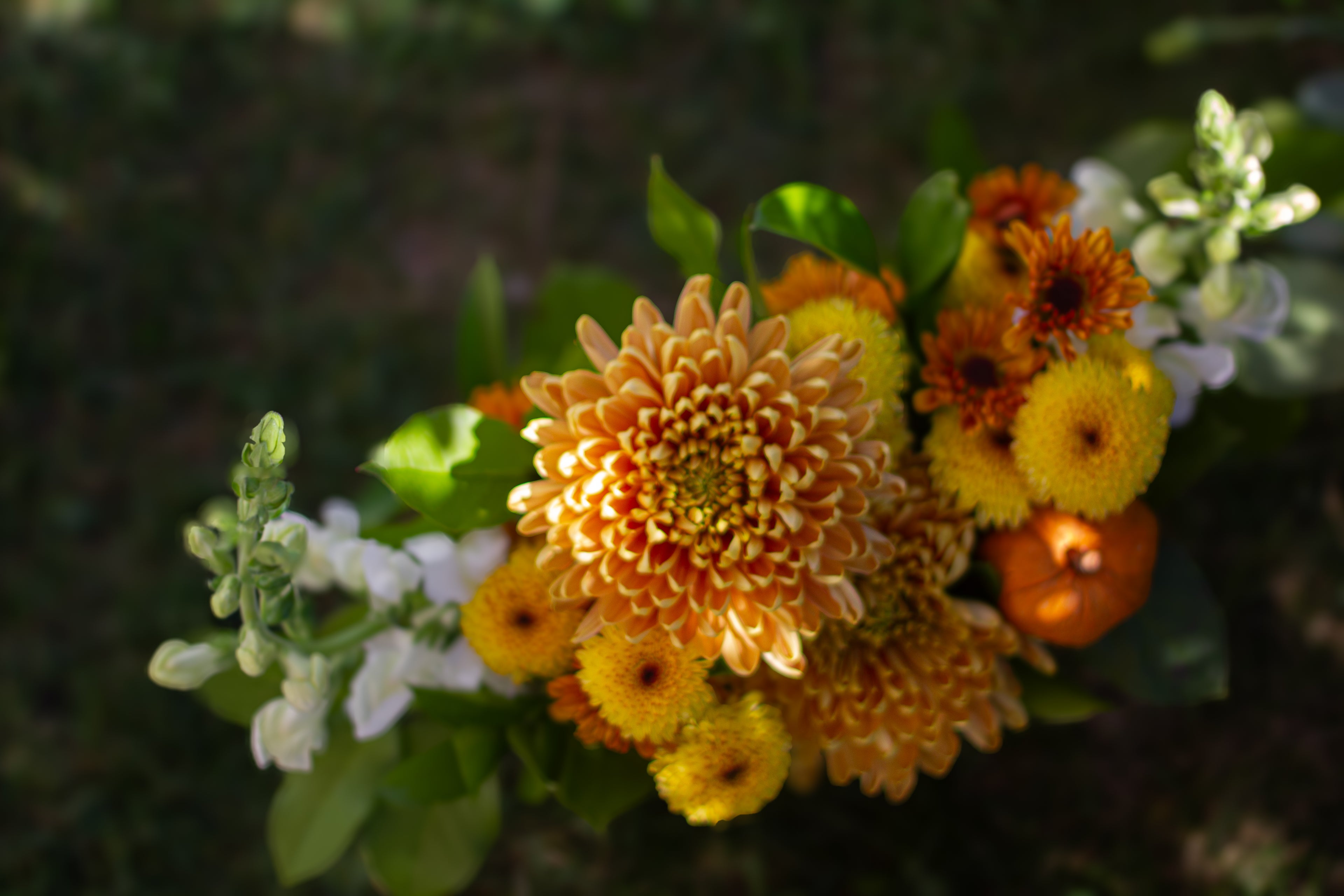 Amber Bloom Bowl