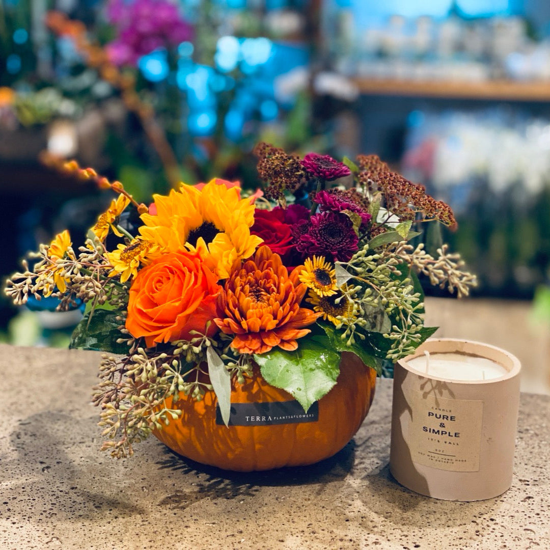 Pumpkin Flower garden
