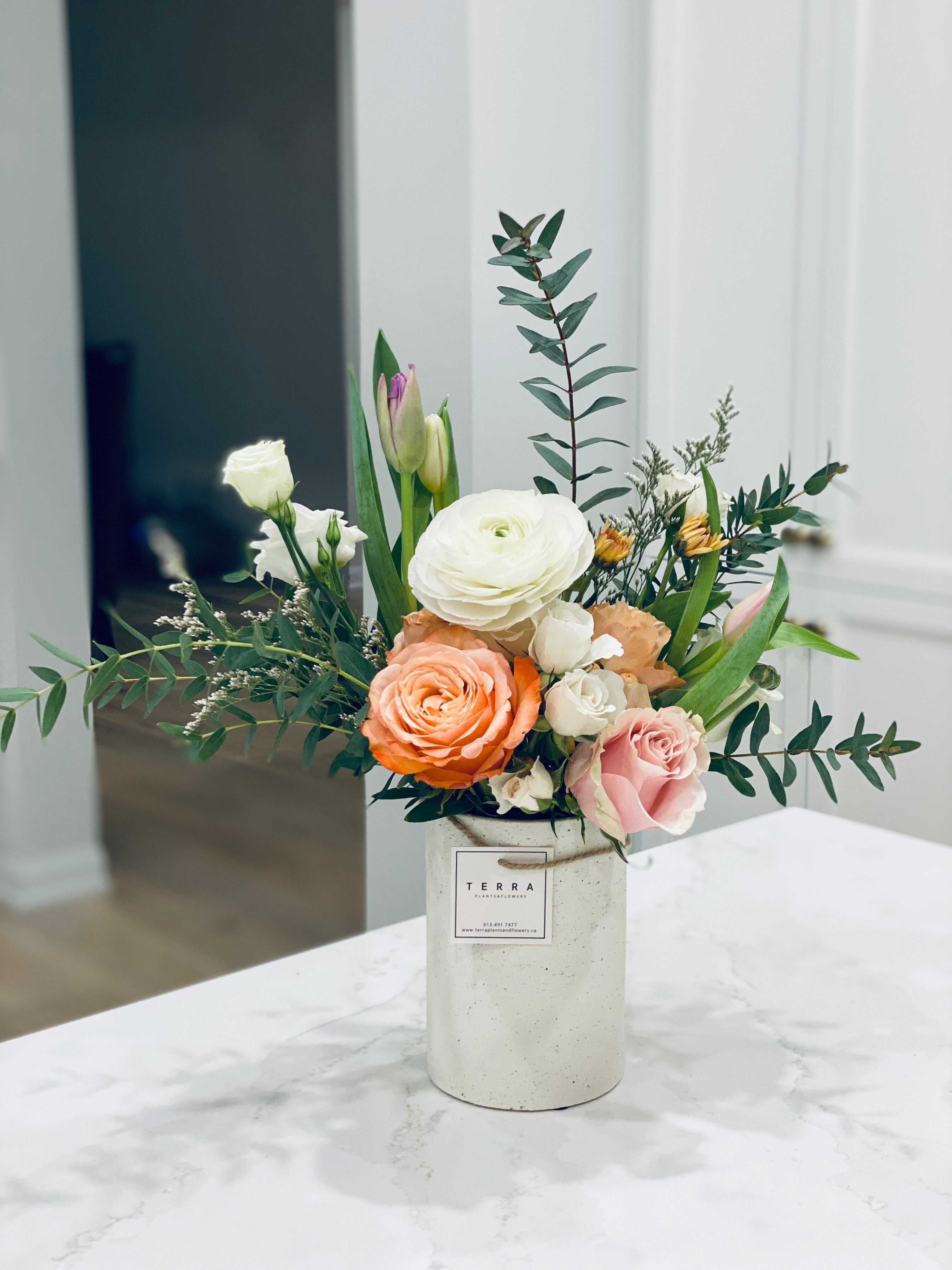 Blushing Beauty Terra Plants and Flowers