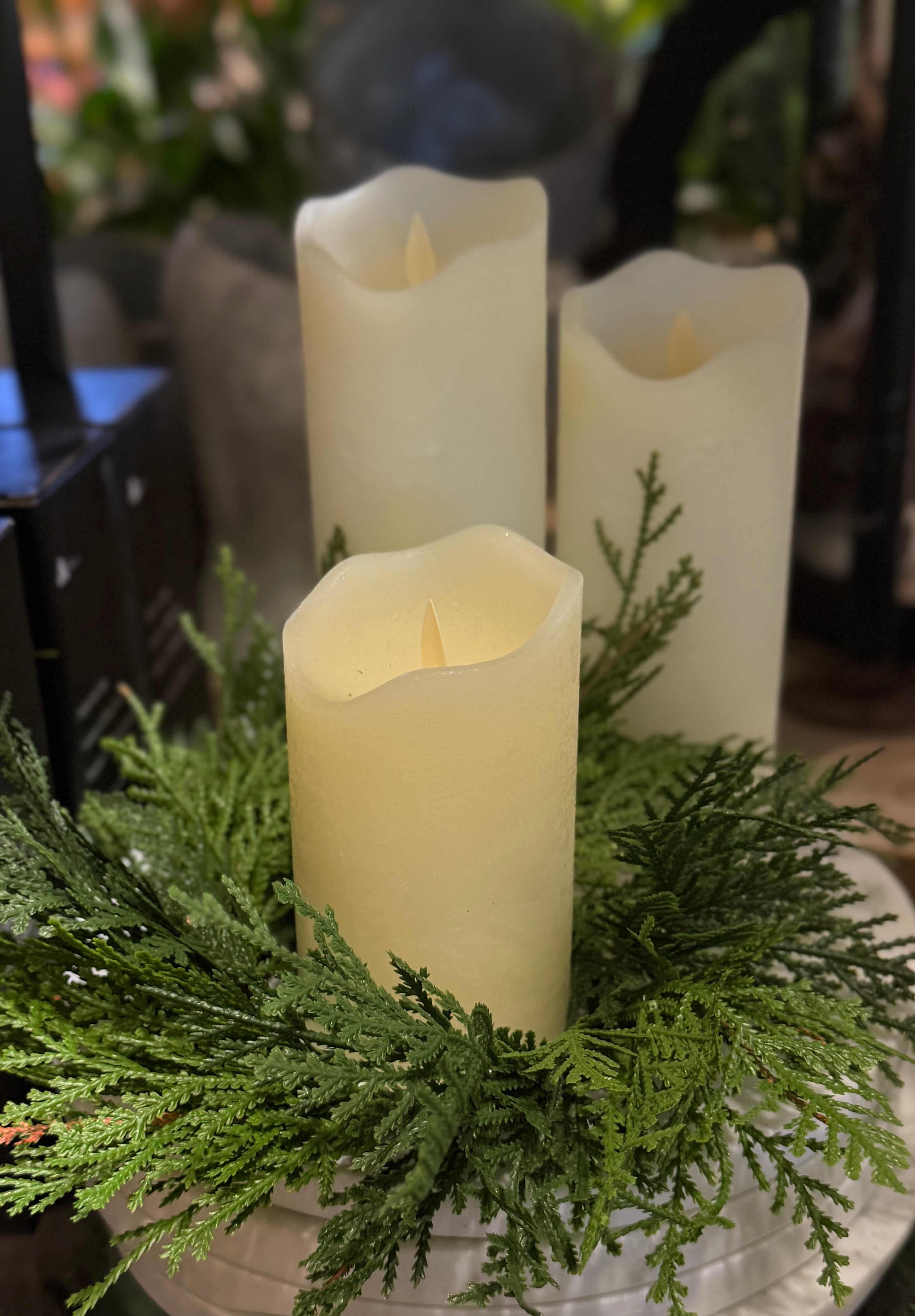 10" FRESH TOUCH NORTHERN WHITE CEDAR