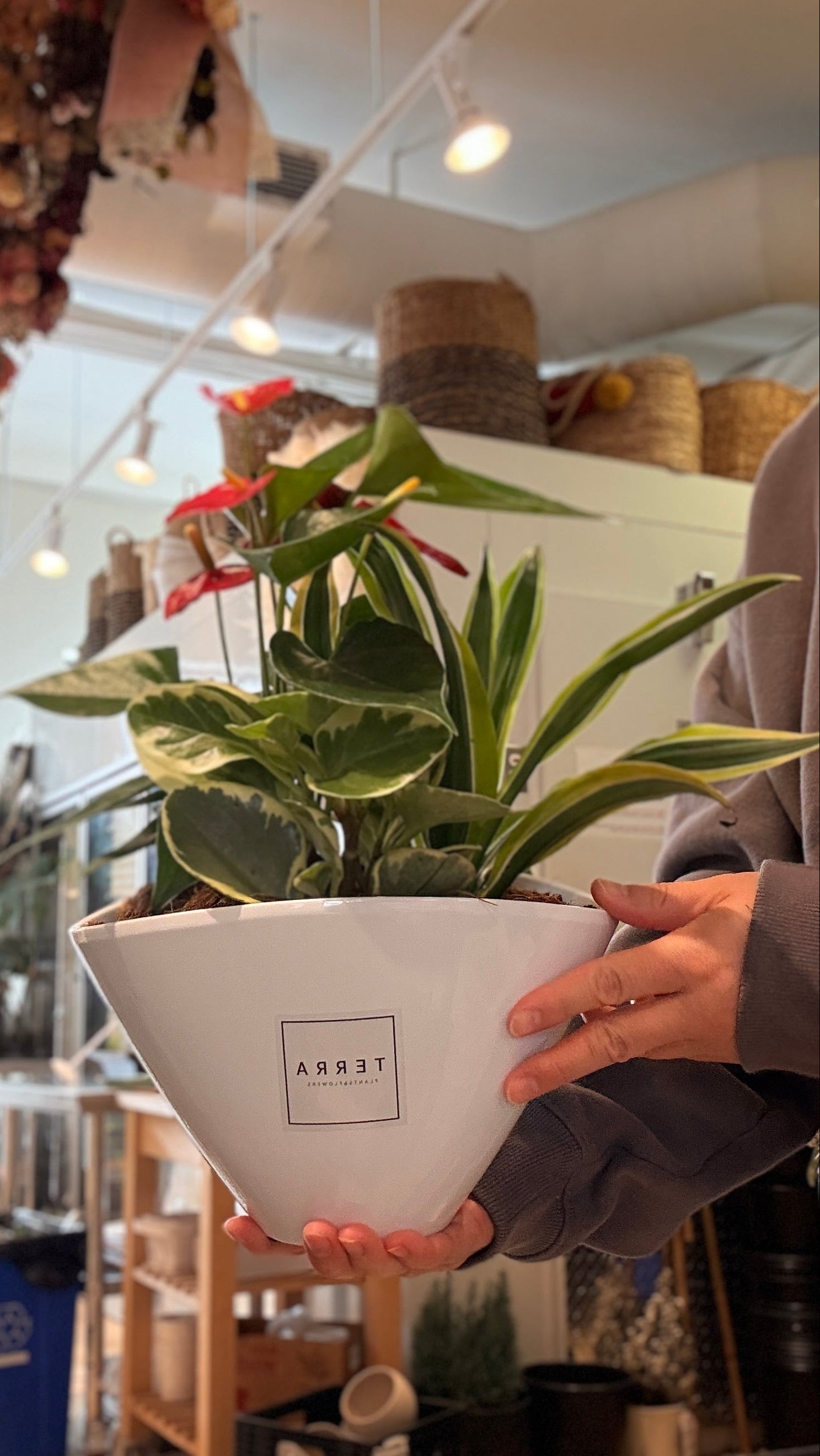 Medium Eilleen Planter