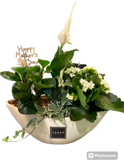 Oval Peace Lily Planter