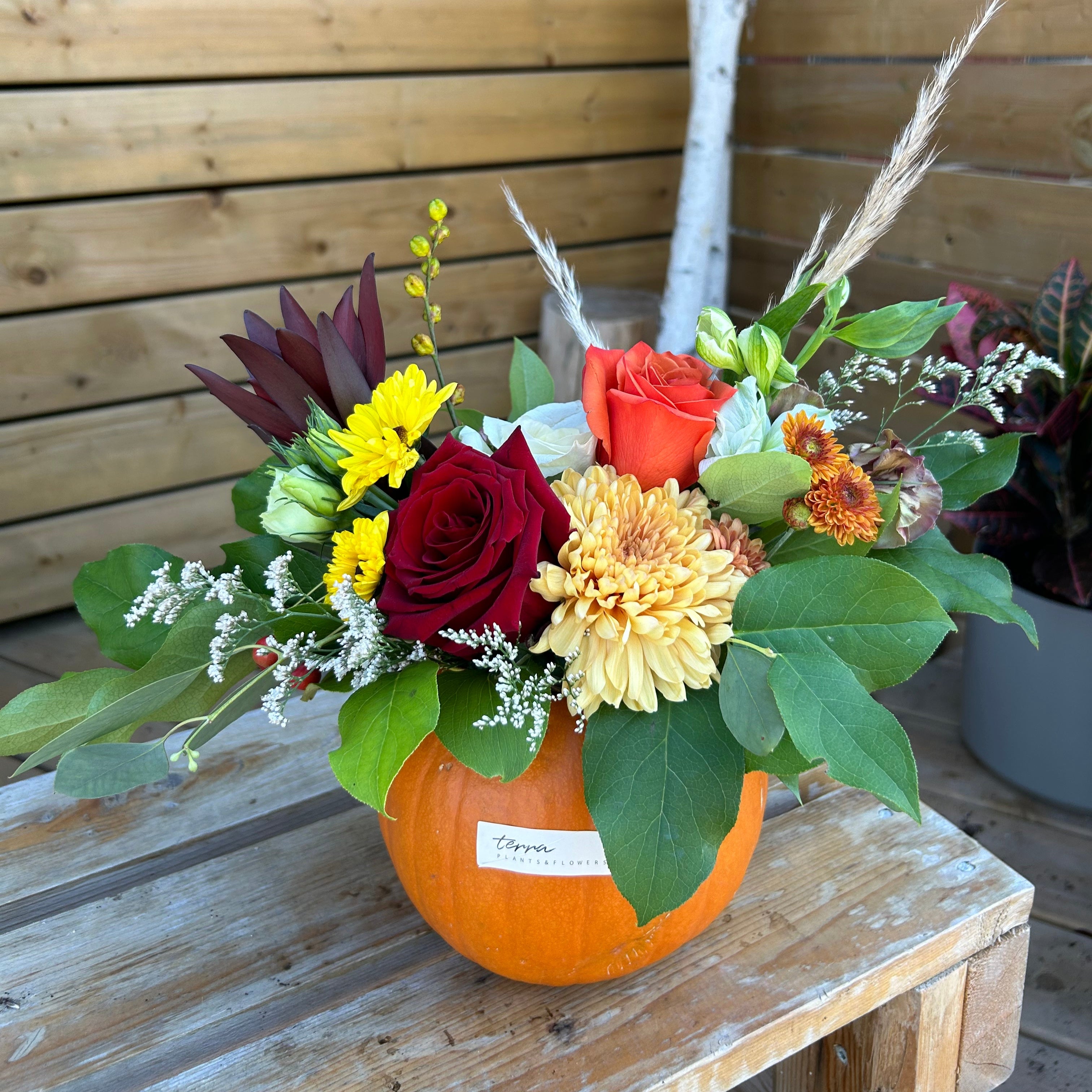Pumpkin Flower garden