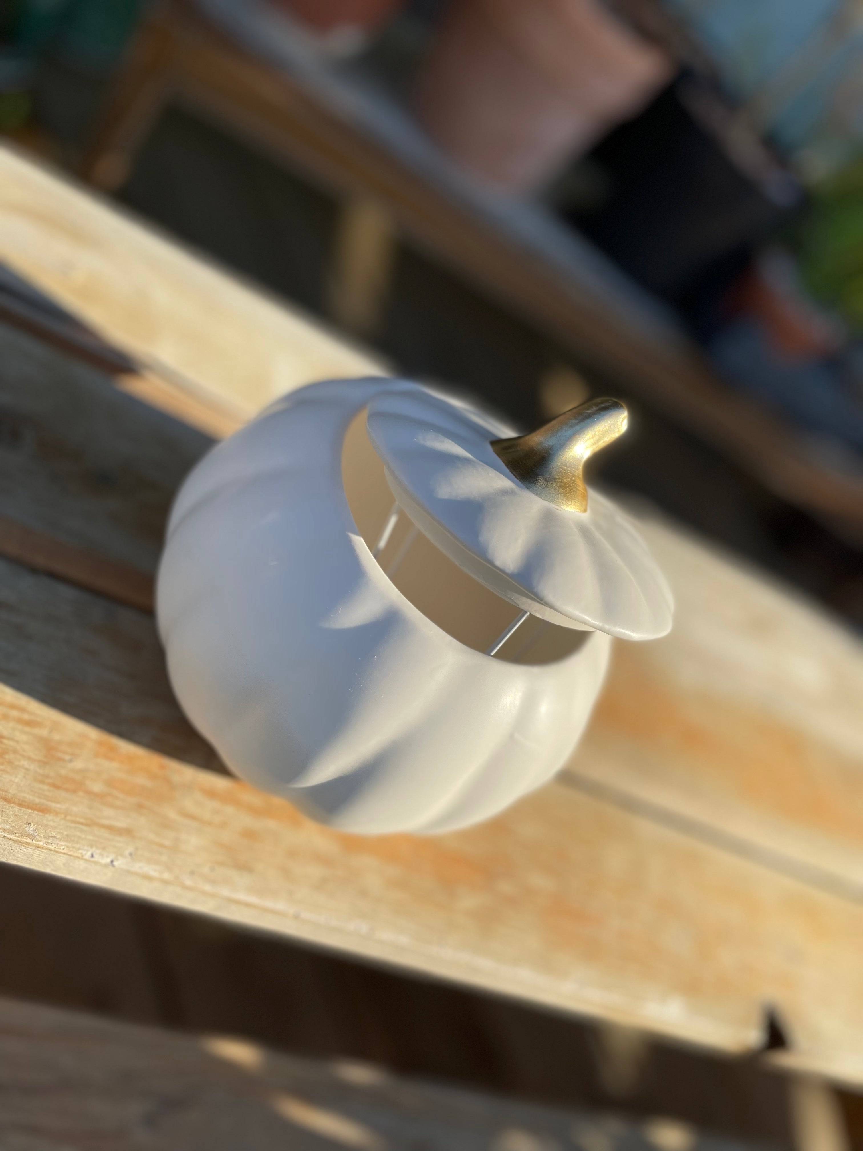 White Pumpkin Potted Garden
