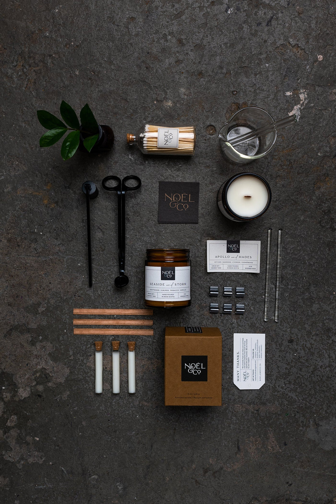 Seaside Storm fragrance candle — Terra Plants Ottawa — marine scent collection