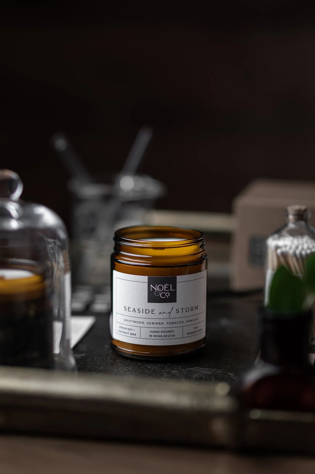 Seaside Storm candle — Terra Plants Ottawa — ocean-inspired scented candle