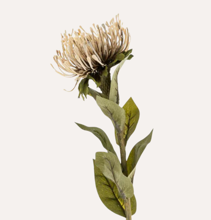Pin Cushion Floral Stem Natural