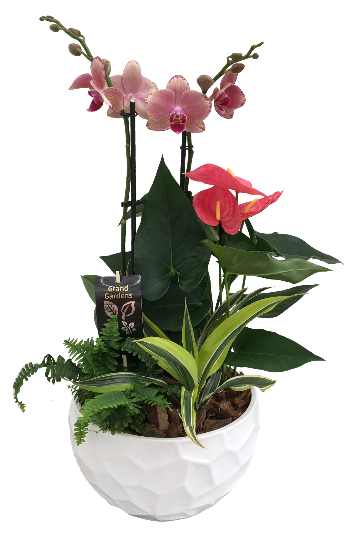 Xl Round Orchid Planter - White