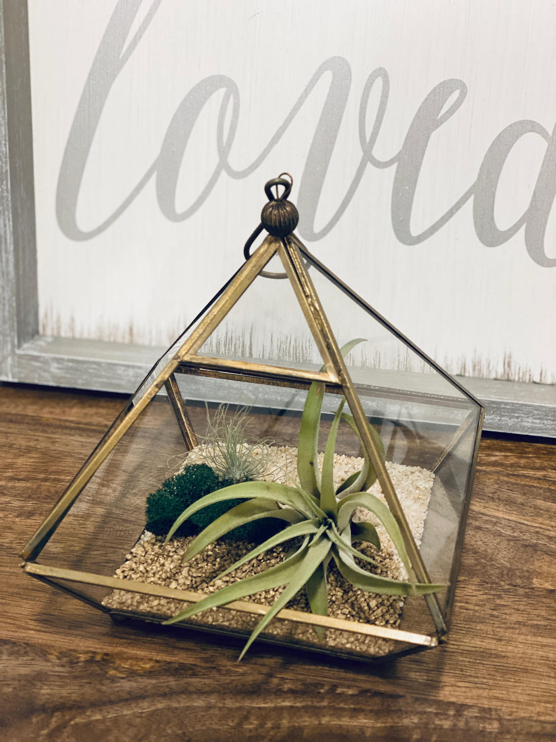 Airplants