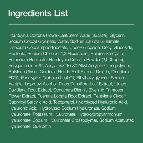 ANUA Heartleaf Quercetinol Pore Deep Cleansing Foam 150ml