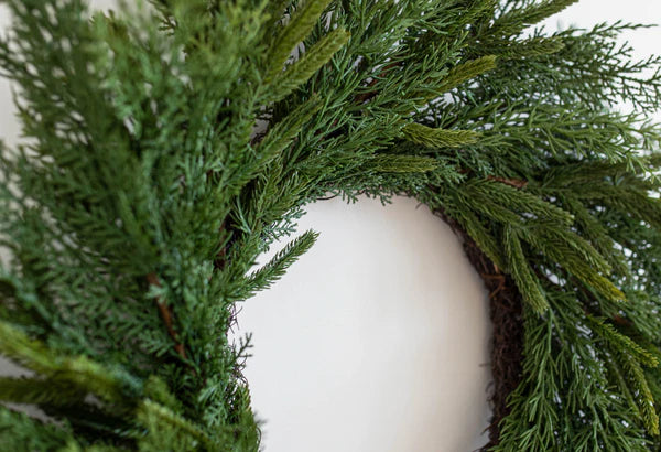 24" Norfolk Cypress Wreath