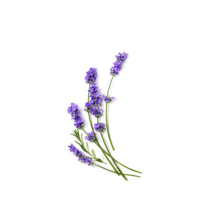 Lavender x Eucalyptus Pocket Hand Sanitizer