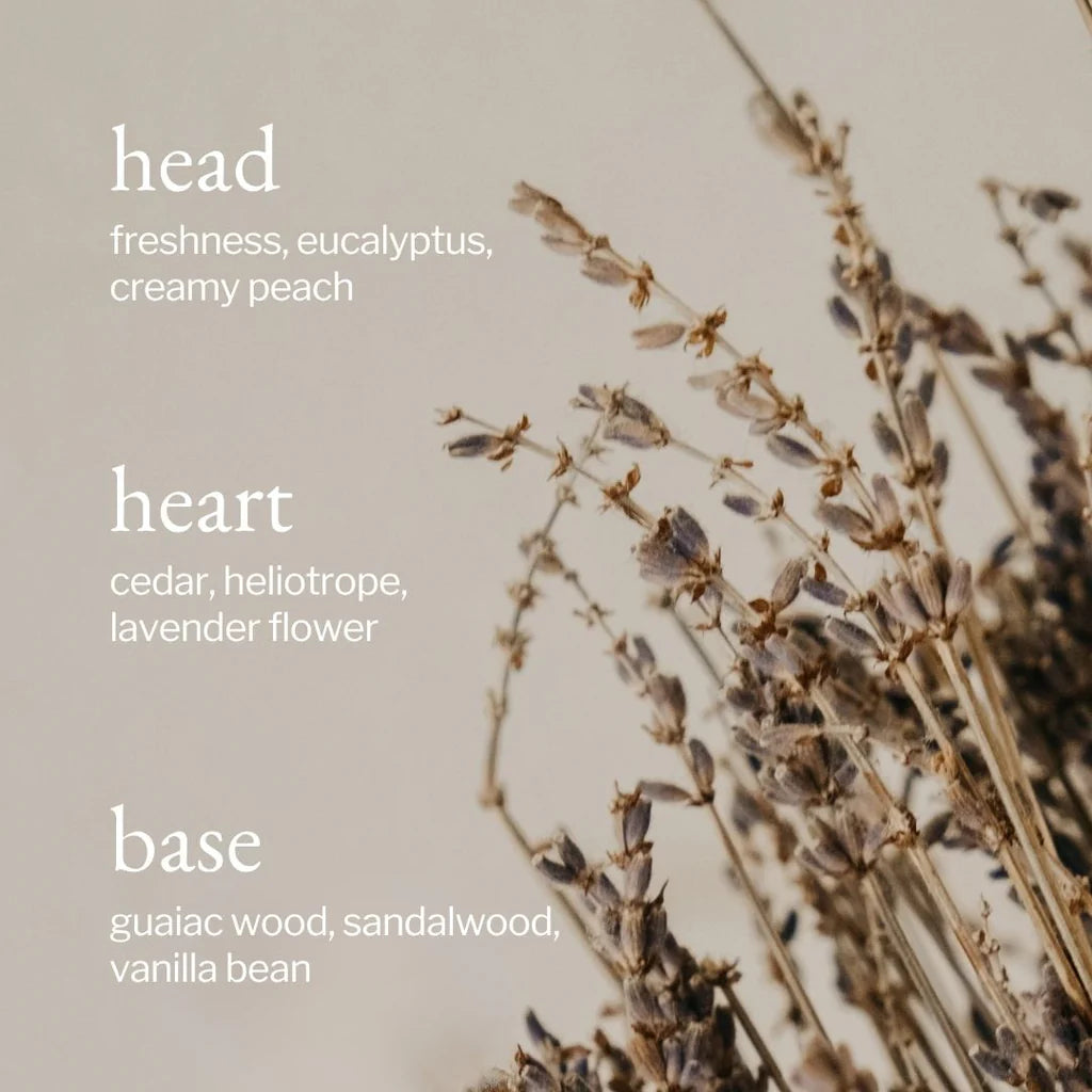 Liquid Hand Soap | Lavender, Sandalwood & Vanilla