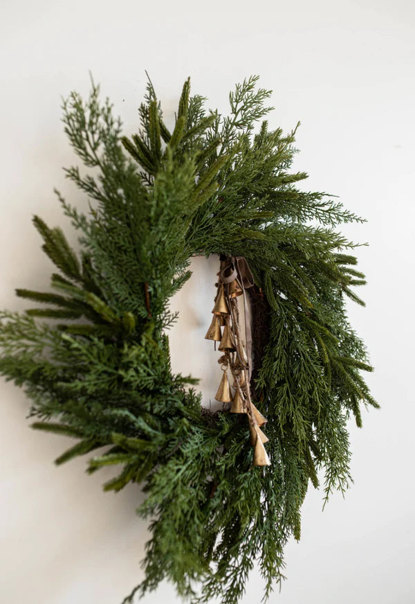 24" Norfolk Cypress Wreath