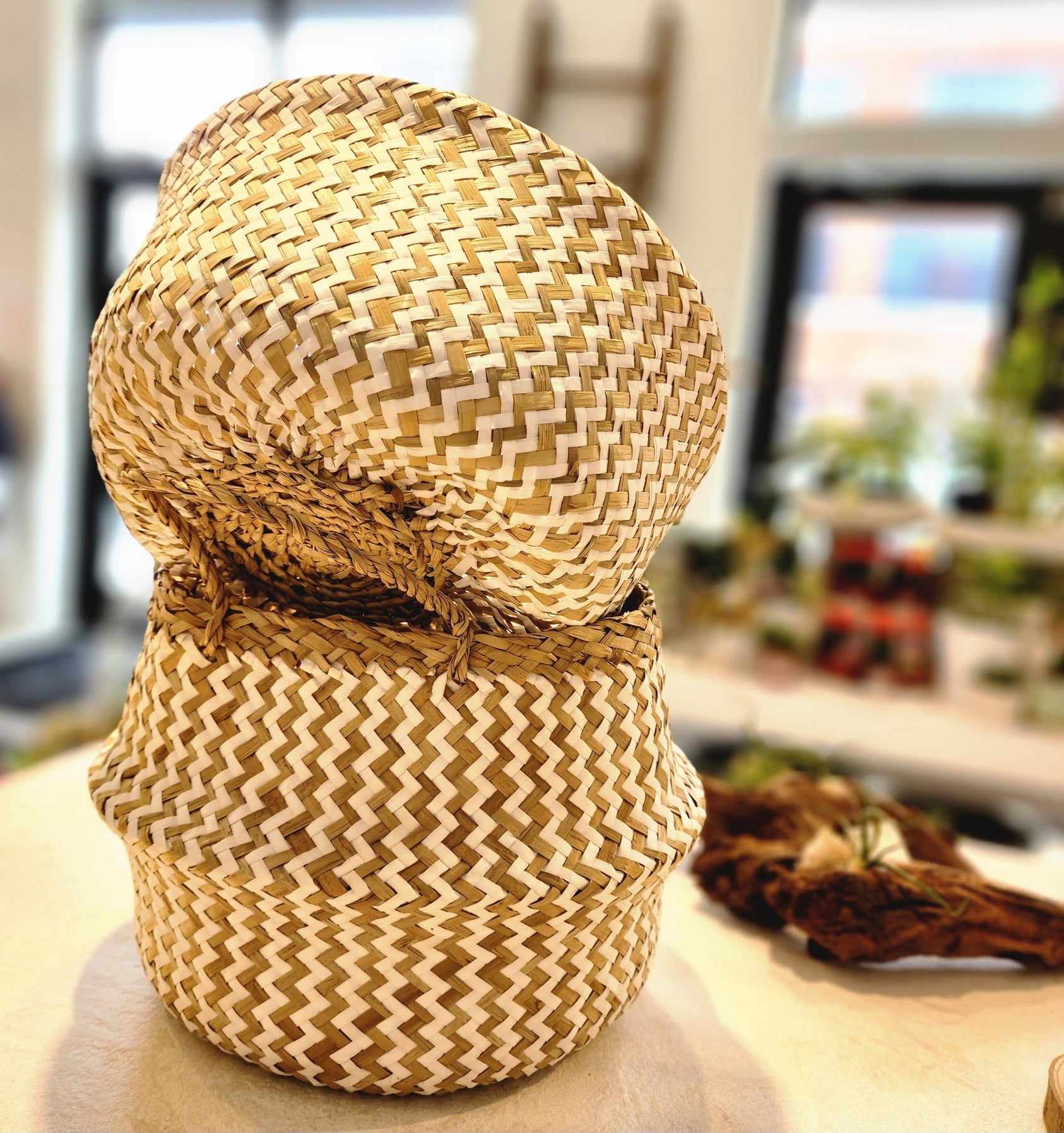 CHEVRON SEAGRASS WT-NT