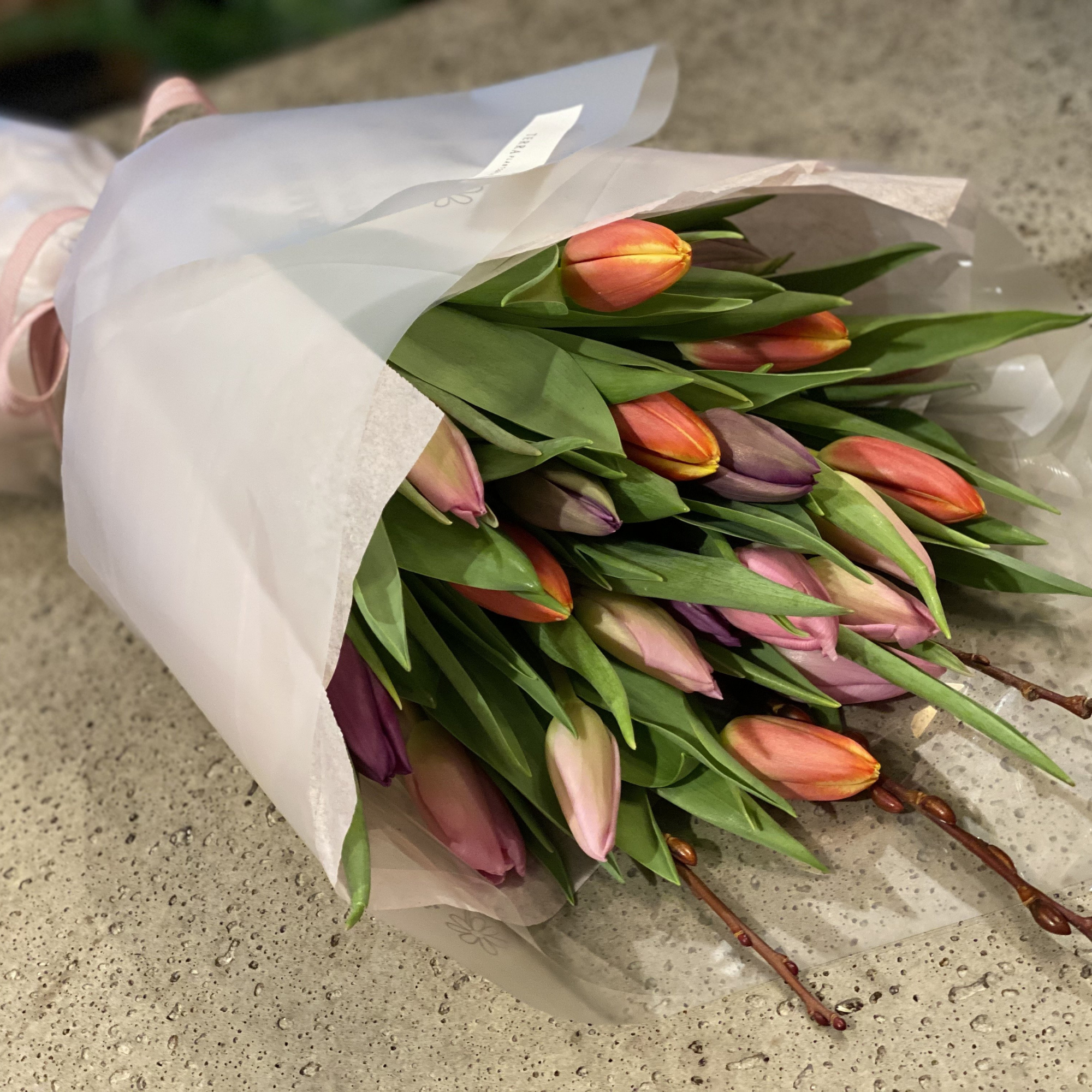 Tulip Festival