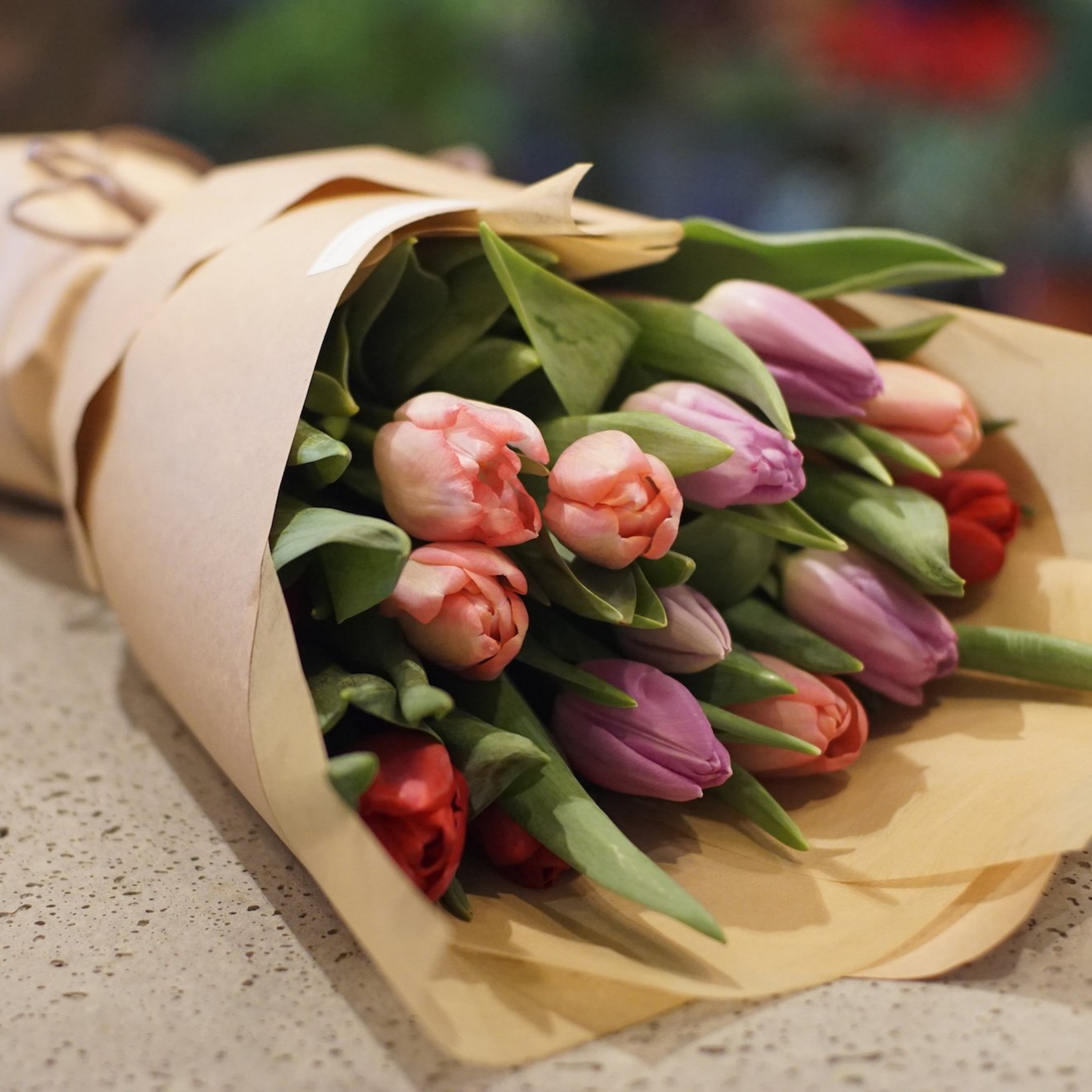 Tulip Festival