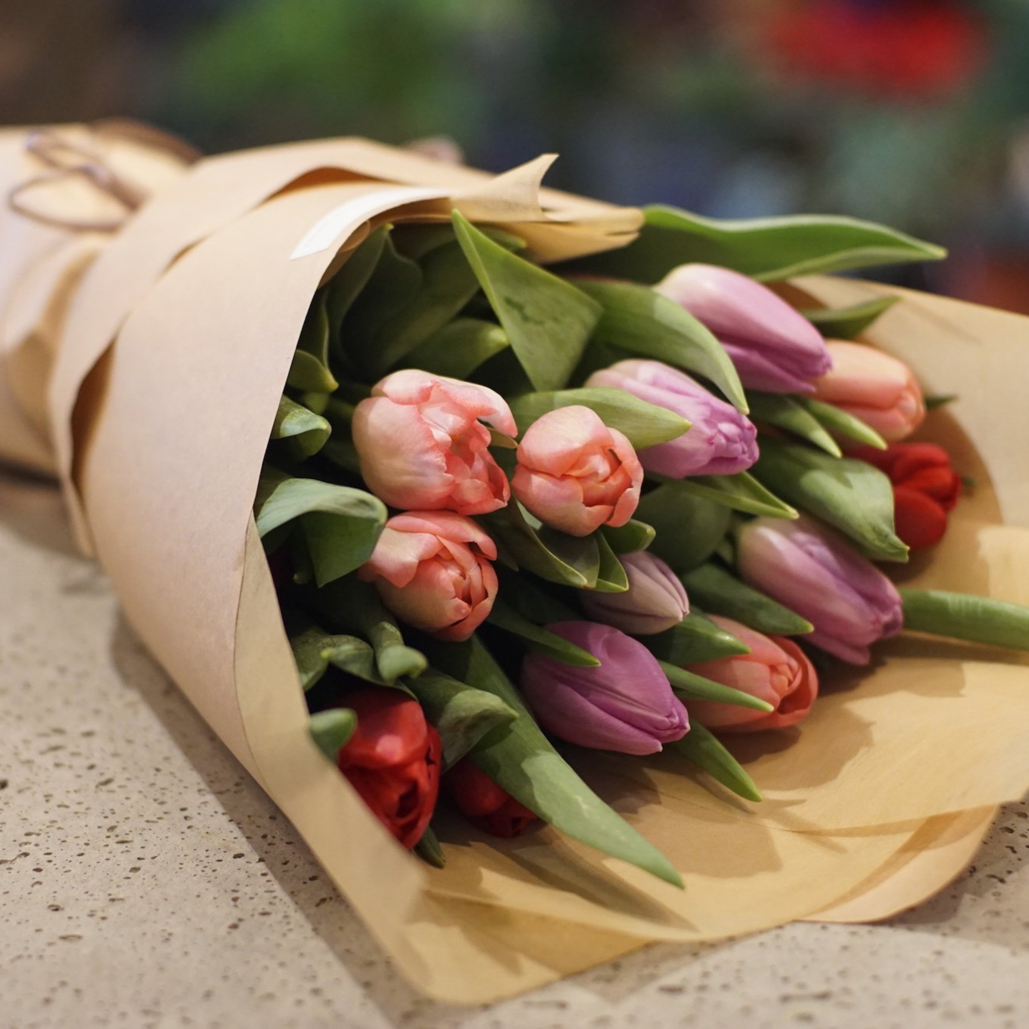 Tulip Festival