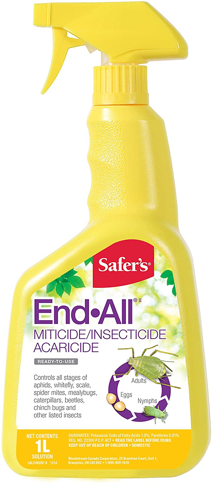 Safer&