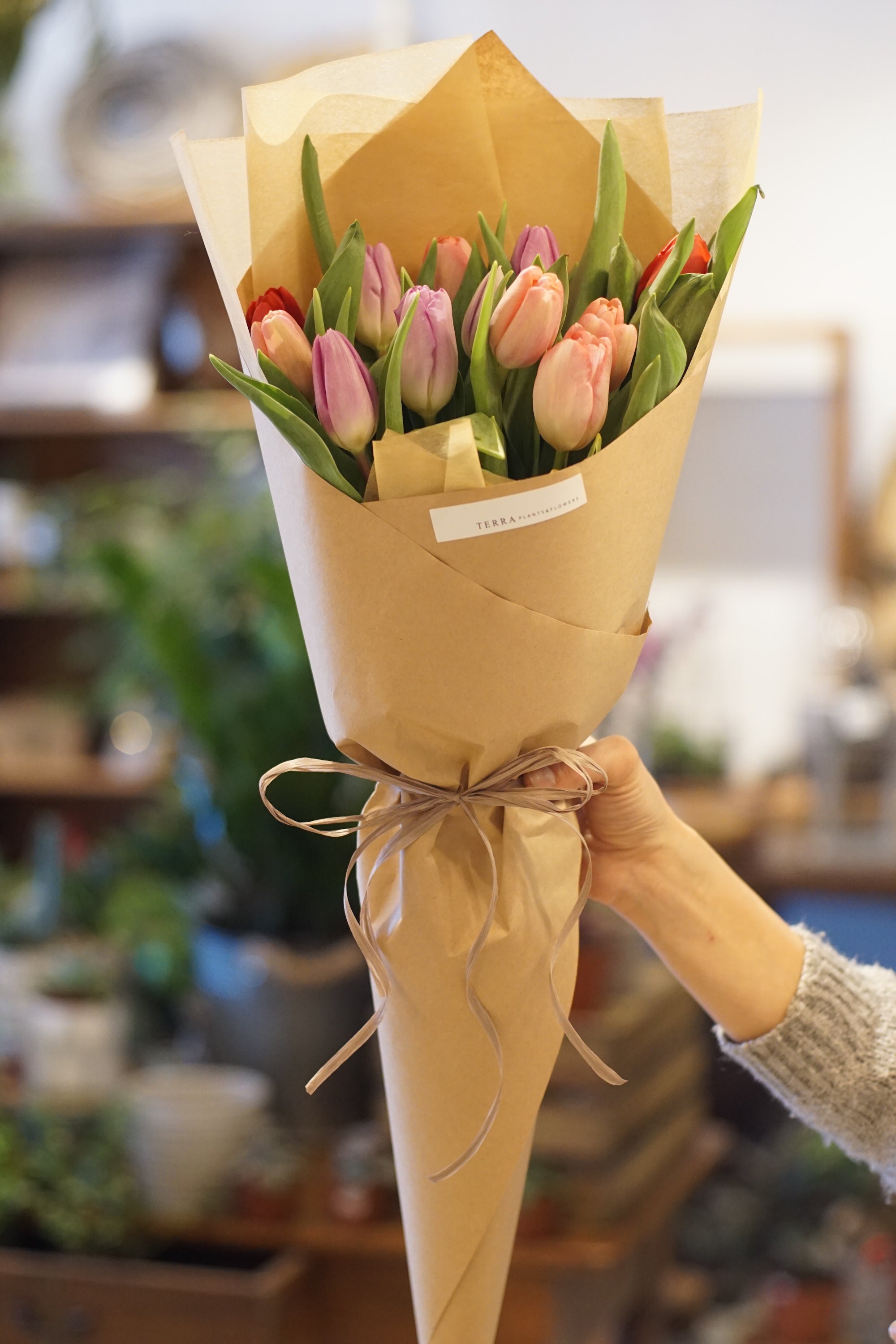 Tulip Festival