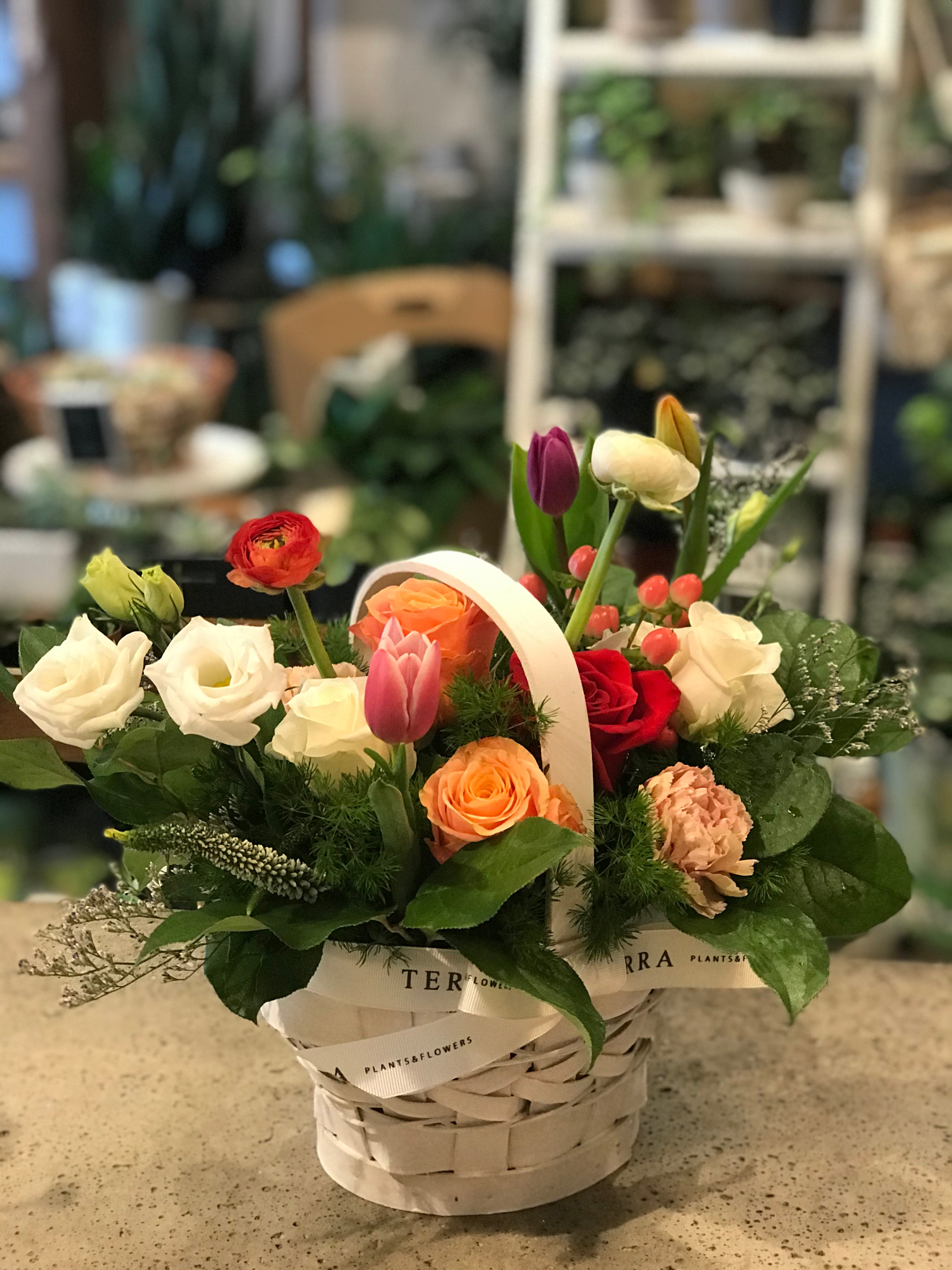 Spring Surprise