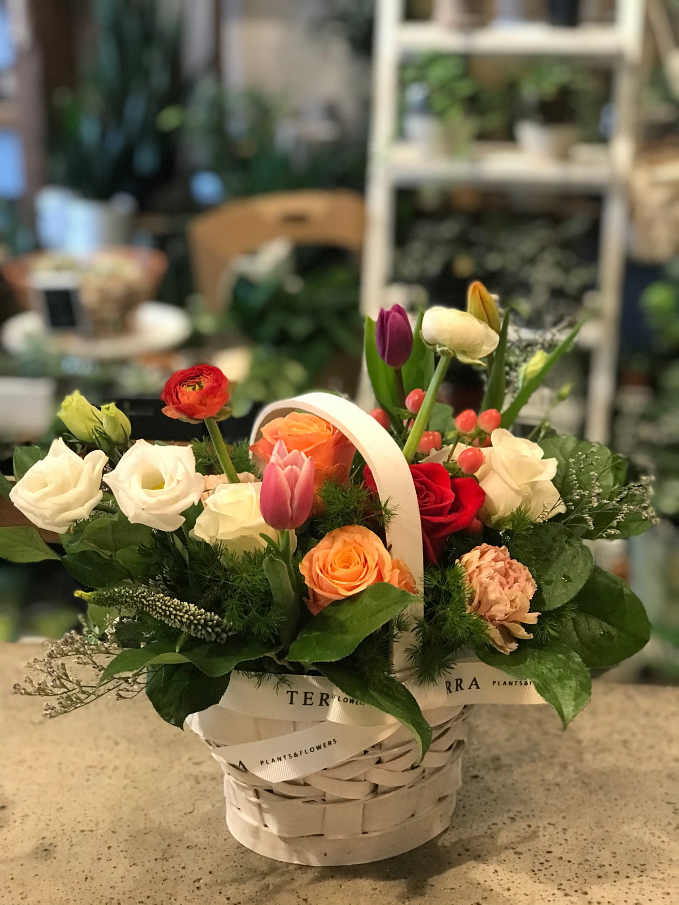 Spring Surprise