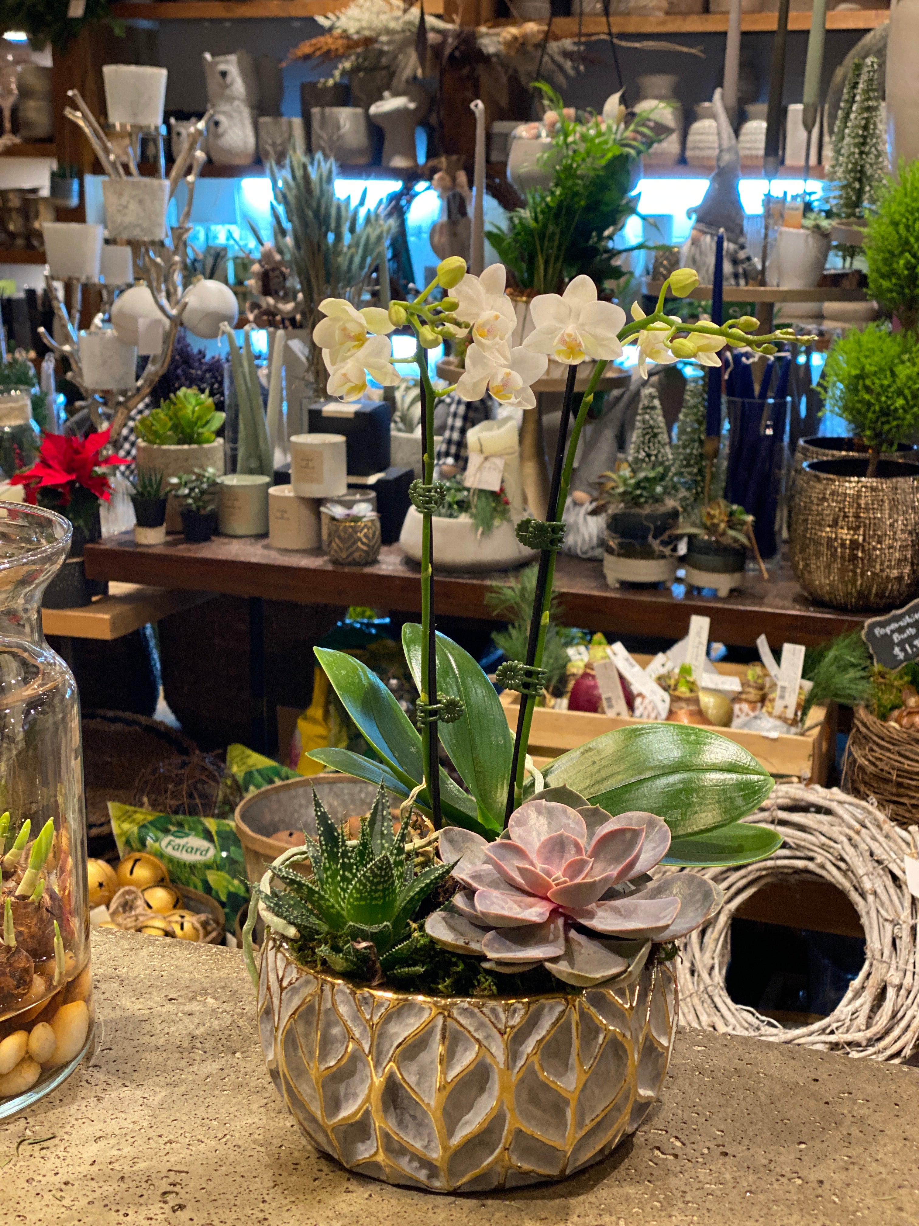 Grey Gold Leaf Orchid/Succulent Planter