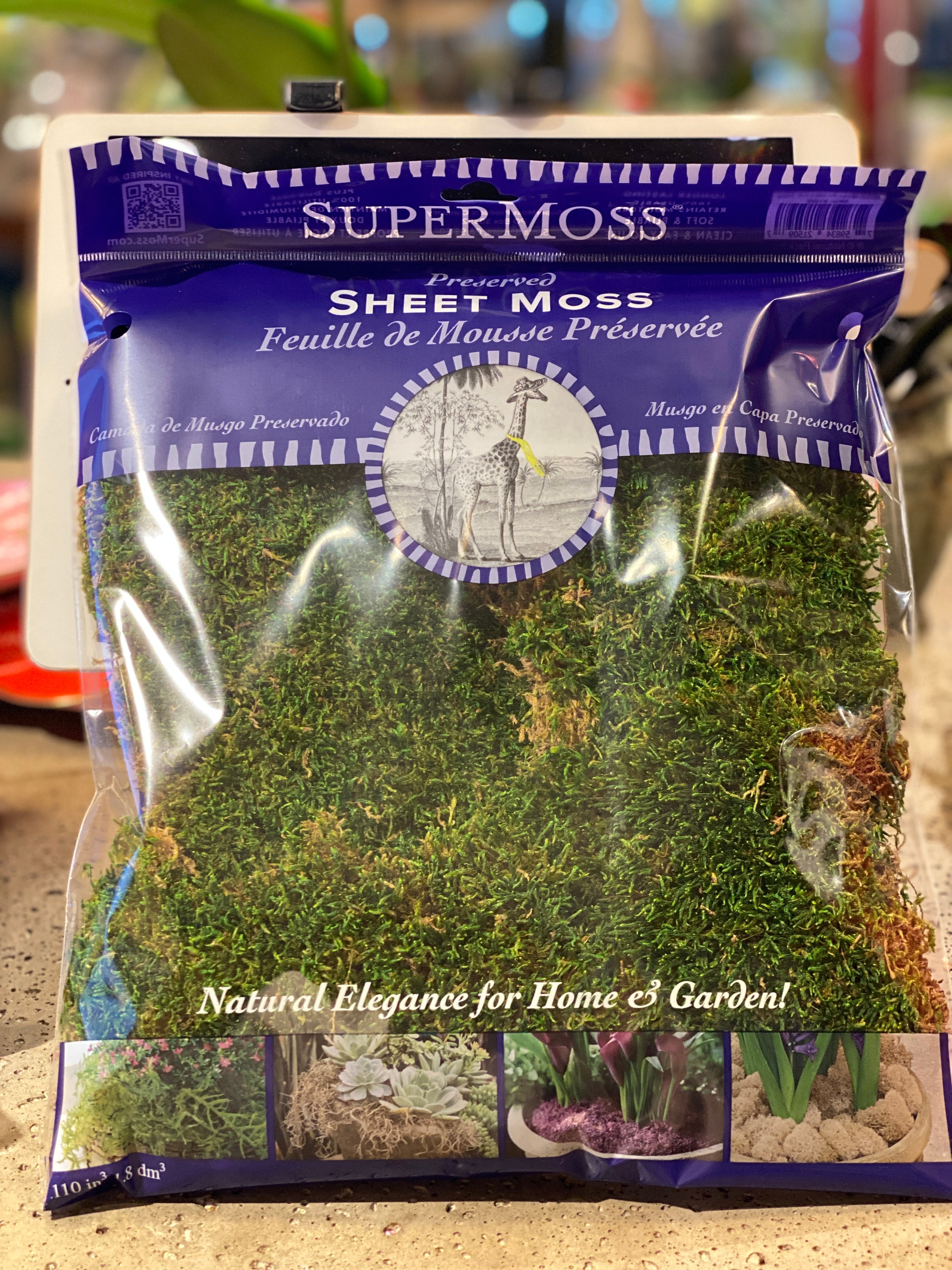 Sheet Moss Preserved Fresh Green