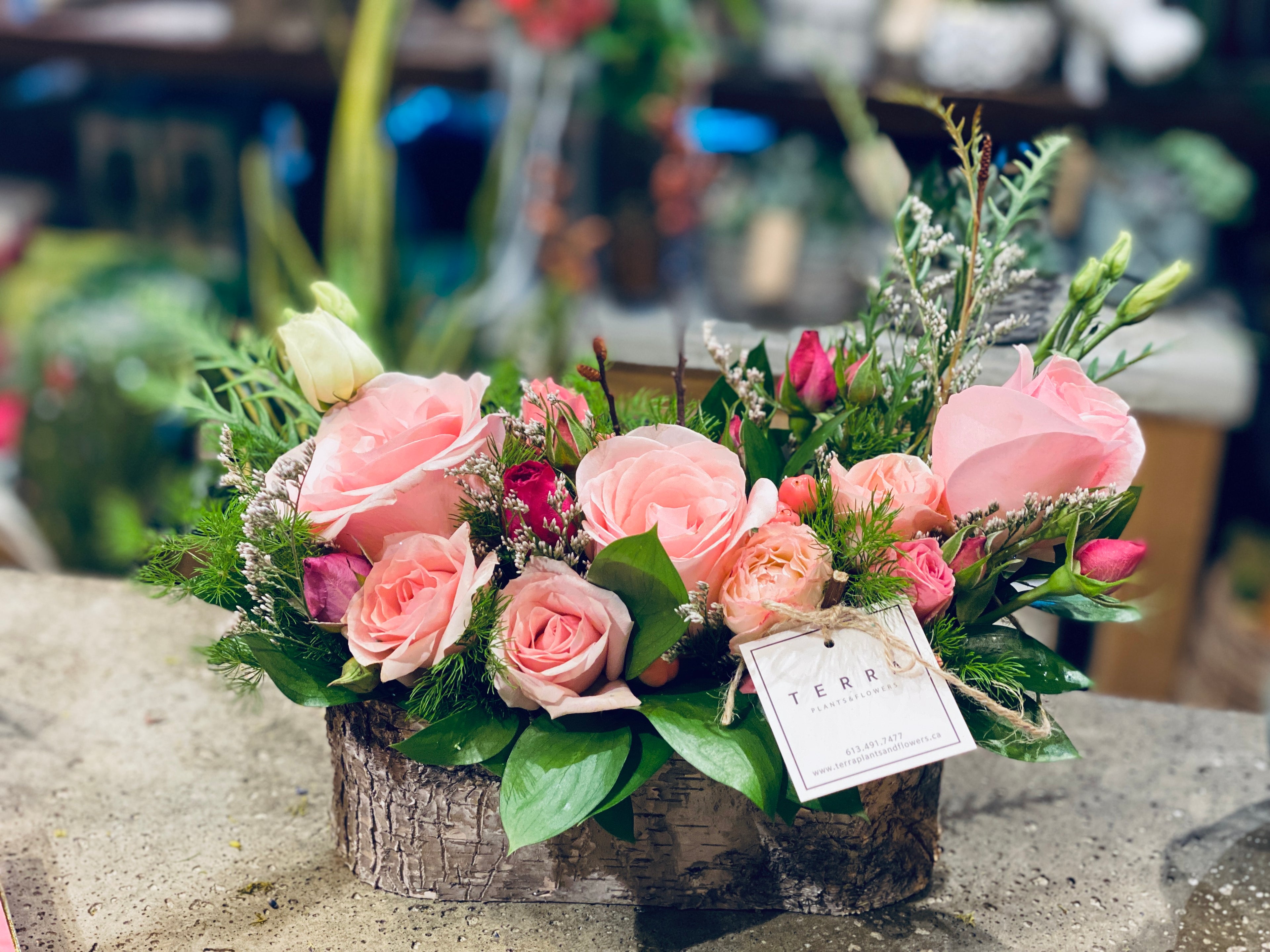 Flower Garden in birch pot