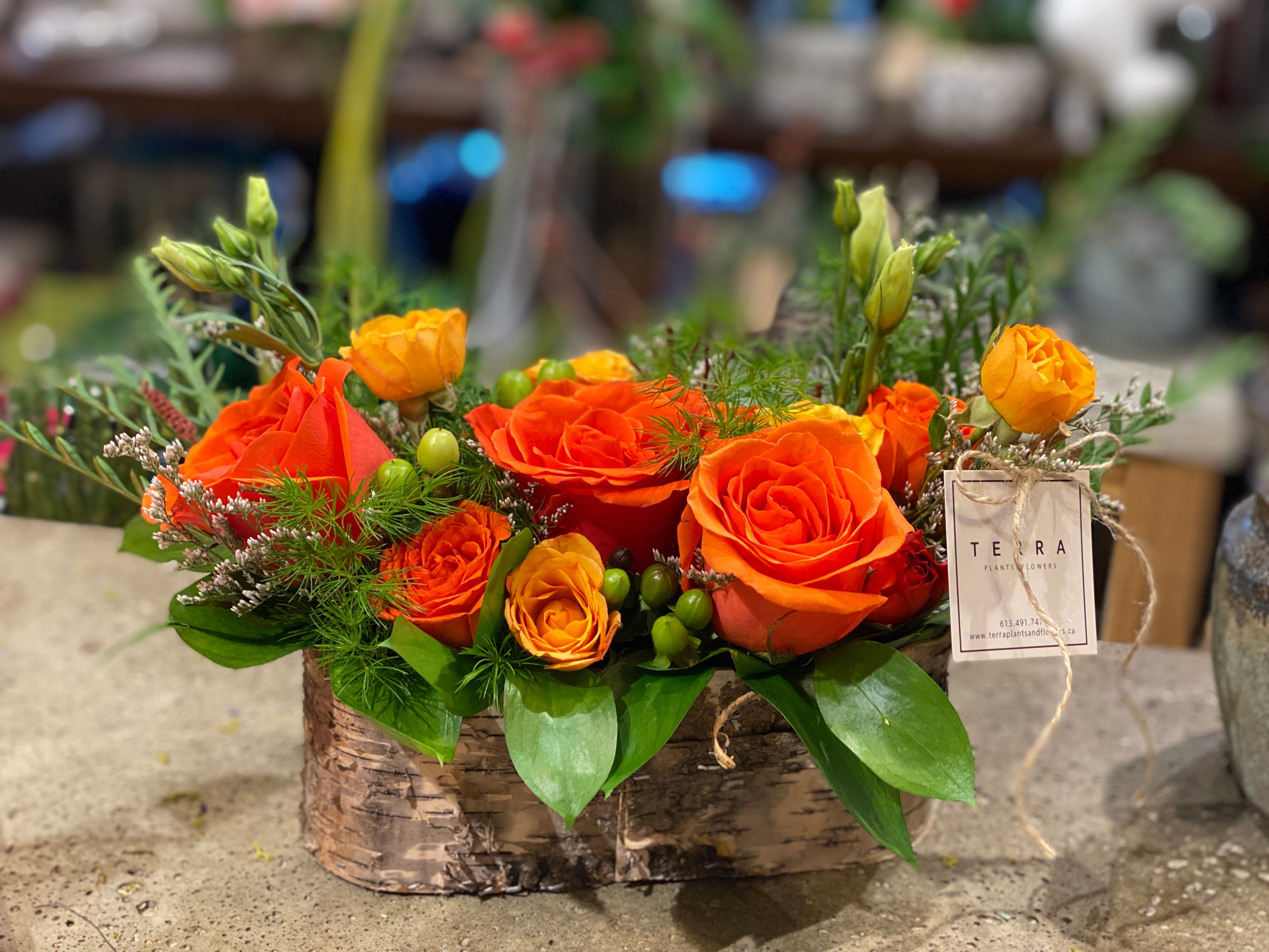 Flower Garden in birch pot