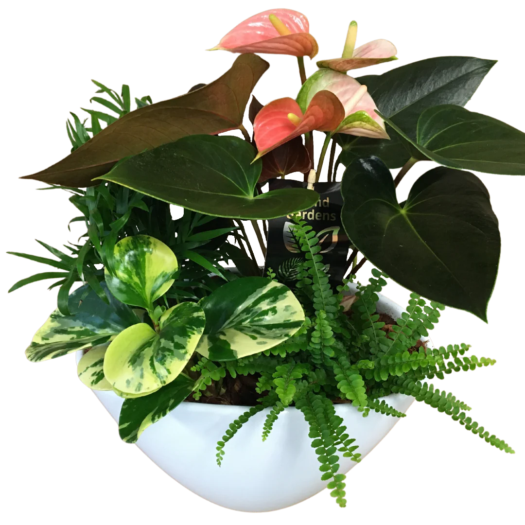 Large Eillen Planter