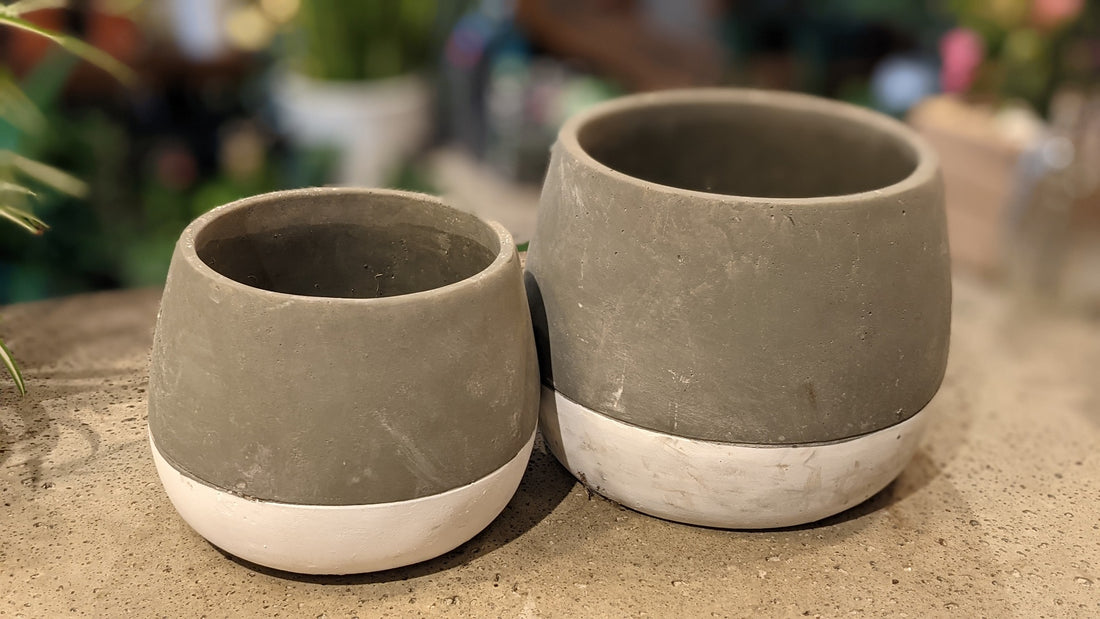 Ash pot